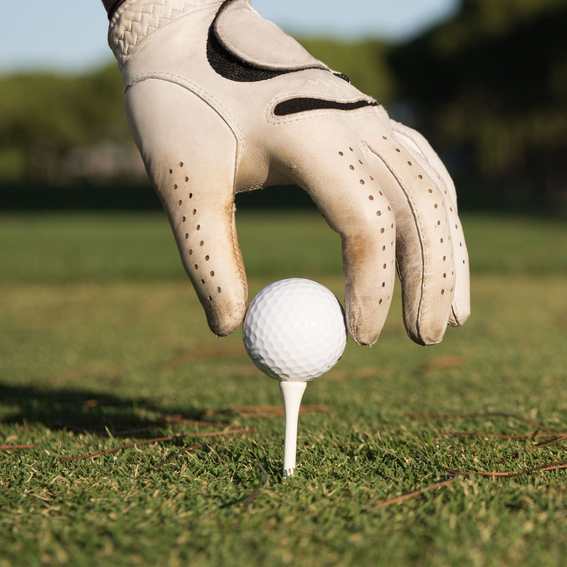 Golf Tees - Wit - Wooden - 50 Pins